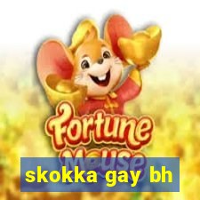 skokka gay bh